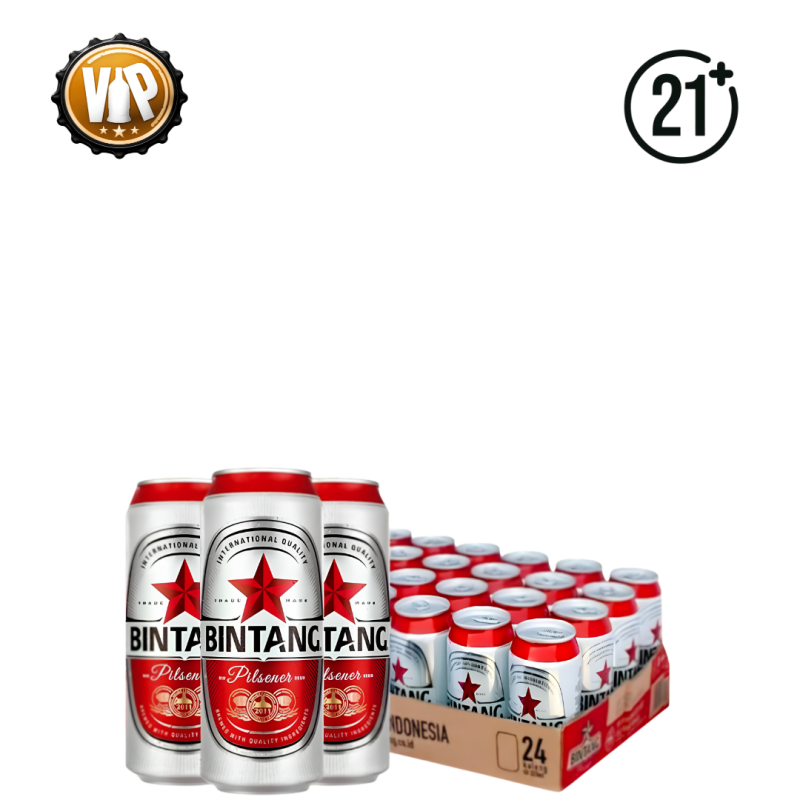 Bintang Can 24 x 250 ml